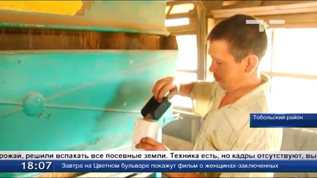 Уборочная в Тобольском районе смотреть онлайн