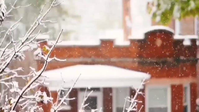 НЕГАТИВНОЕ КУКУРУЗНОЕ ТРЕПЛО ИЗ КУБАНИ. ОЛЮНЯ И КОТЮНЯ.