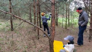 Участок в лесу для постройки дачи. Первый визит после покупки.