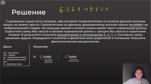 ЕГЭ Биология | ЗАДАЧА ПО ГЕНЕТИКЕ. Задача на летальность