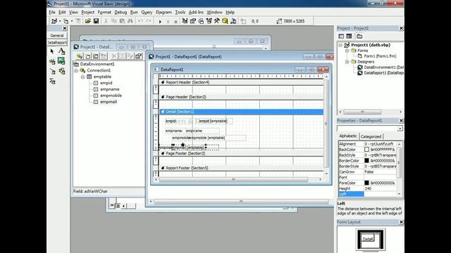 Creating Data Environment and Data Reports Visual Basic | How to export and print data using VB 6.0
