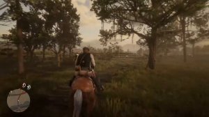 Red Dead Redemption 2 - Прохождение. Часть 43. Ограбление дома Джексона