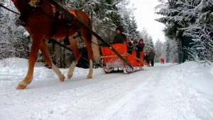 Новогодние традиции России