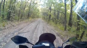 Suzuki XF 650 Freewind в лесу. Плюс-разгон до сотни.