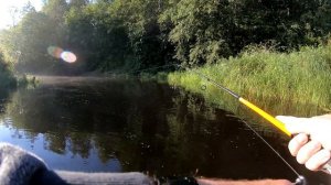 Рыбалка на реке Комёла