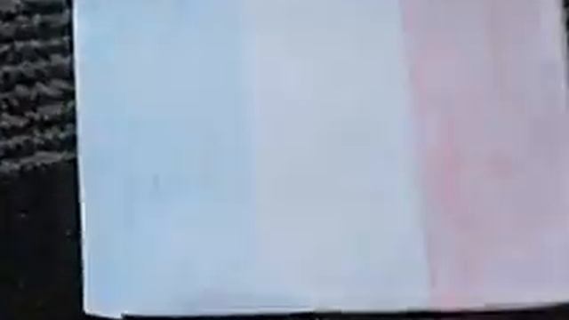 Rabbit Fedya - the Oracle. Match Spain & France. 23.06.2012 смотреть онлайн