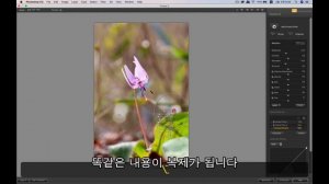 (포토샵 초급) Viveza 2를 이용한 빛 고르기 작업