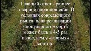 интенсивный сад