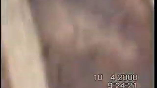 Рыбочка Стерлядь.wmv смотреть онлайн