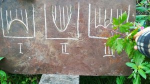 Формирование гнезда в зиму.