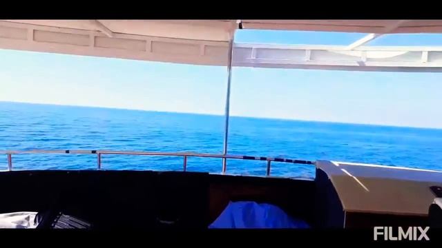 Прогулка на яхте и встреча с дельфинами смотреть онлайн