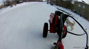 Зимняя эксплуатация мотоблока с санками