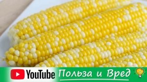КУКУРУЗА нужна всем!!! Польза и вред кукурузы для здоровья организма человека.