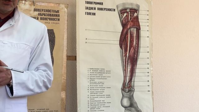 Колено и голень смотреть онлайн