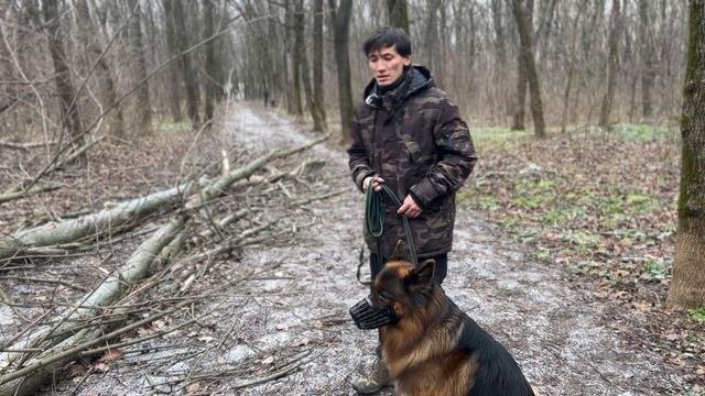 СОБАЧЬЯ АГРЕССИЯ! Поговорим о социализации собаки и методах обучения. Арчибальт