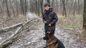 СОБАЧЬЯ АГРЕССИЯ! Поговорим о социализации собаки и методах обучения. Арчибальт