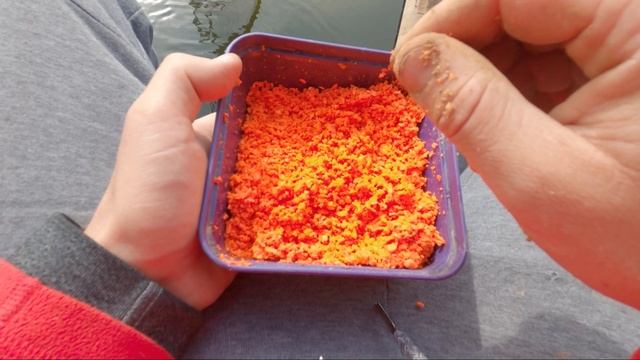 ТРУДОВАЯ РЫБАЛКА! Ловим фидером на реке осенью! ДОЖДАЛИСЬ КЛЕВА ВЕЧЕРОМ!