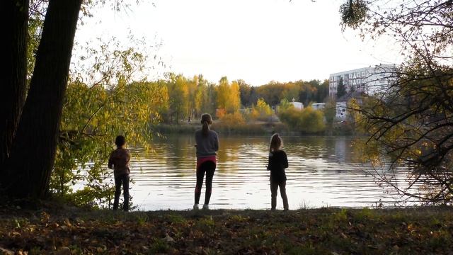 Panasonic HC-VX980 4k cinematic video test смотреть онлайн