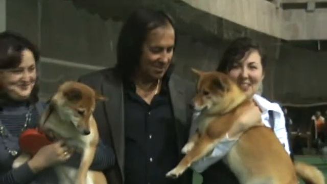 Иншаков и сибы. смотреть онлайн