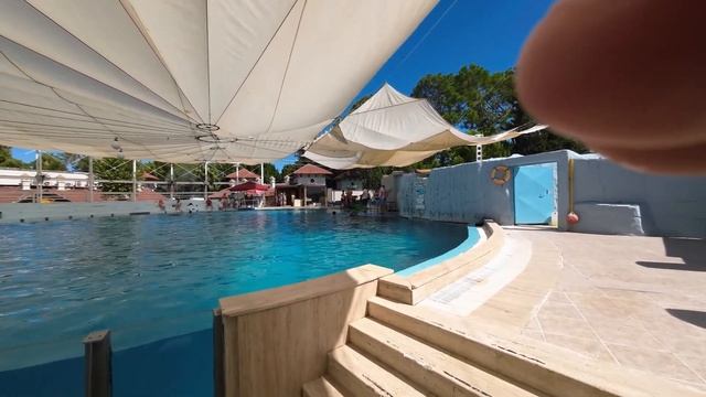 Экскурсия от ginza travel kemer (гейнюк) купание с дельфином 95$ для Ютуб смотреть онлайн