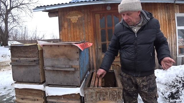 КАК ЗАВЕСТИ ПЧЁЛ, ЛОВЛЯ БРОДЯЧИХ РОЁВ В ЛОВУШКИ, СЕКРЕТЫ СТАРОГО РОЕЛОВА