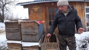 КАК ЗАВЕСТИ ПЧЁЛ, ЛОВЛЯ БРОДЯЧИХ РОЁВ В ЛОВУШКИ, СЕКРЕТЫ СТАРОГО РОЕЛОВА
