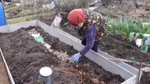 Подготовка грядки к посадке огурцов