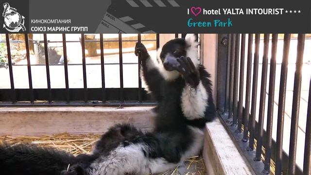 Гости из Ростова-на-Дону хвалят отдых в Отеле Yalta Intourist в Крыму