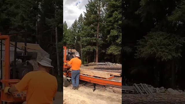Two by Two #sawmill #woodmizer #sawdust #wood #loggerhead #woodmizersawmill смотреть онлайн
