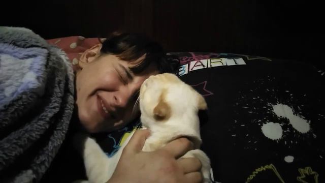 Кот Борис. Ти, хозяйка, когда мылась? смотреть онлайн