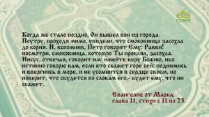 Евангелие 10 января 2023