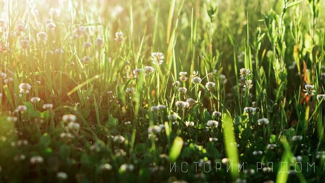 Парень купил браслет у старушки с рук и подарил своей жене, этой же ночью… смотреть онлайн