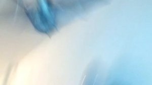 Летучая мышь, полет.