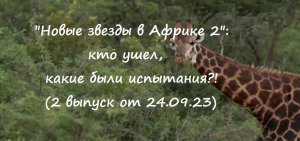 "Новые звезды в Африке 2": кто ушел и какие были испытания во 2 выпуске от 24.09.23?