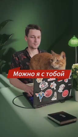 Можно я с тобой? #животные #котики #любовь