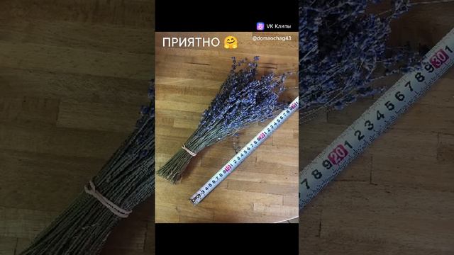 1000002117.mp4
