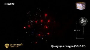 OC 6422