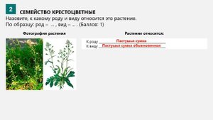 Биология 9 кл. Лабораторная работа №1. Определение видов растений и животных c помощью определителя