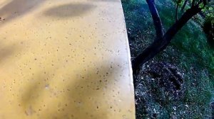 Первые впечатления от Пеноулика  Подготовка к ППС к зимовке