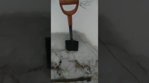 Зима, мороз, а я за торфом. (разведение червя дендробена)