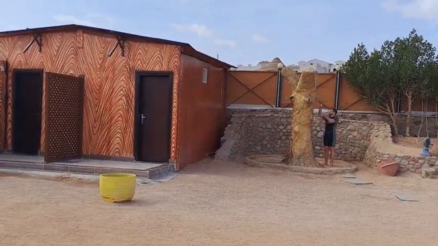 ШАРМ ЭЛЬ ШЕЙХ. Красное море!.Отель!Старый город!!! Часть 1 смотреть онлайн