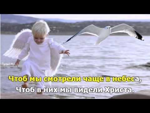 Чайка, чайка
