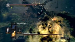 Dark Souls Platinum Trophy Guide 27 - Black Dragon Kalameet