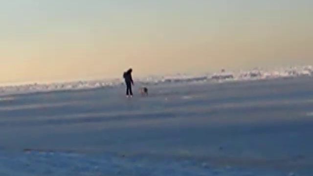 морелёд. смотреть онлайн