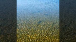 Увельский район, Чистое озеро.