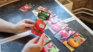 Подмосковье! Лучшие сорта высокорослых индетерминантных томатов, проверенные тысячами дачников.