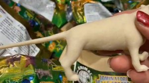 sbabam Повелителі лісу