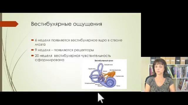 Внутриутробное сенсорное развитие ребенка смотреть онлайн