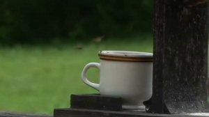 ЭЛЕКТРИЧЕСКАЯ МУХОБОЙКА Xiaomi Youpin Sothing ПОЗАБОТИТСЯ О ВАШЕМ СПОКОЙНОМ СНЕ!