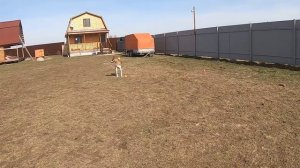 Перед выездом с лайками/Работать по Тайне и Ханте/